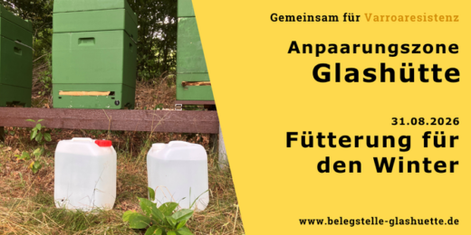 Einfütterung