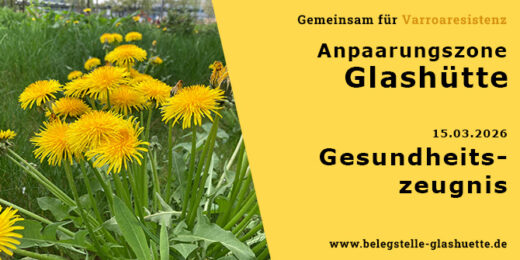 Gesundheitszeugnis - Futterkranzprobe