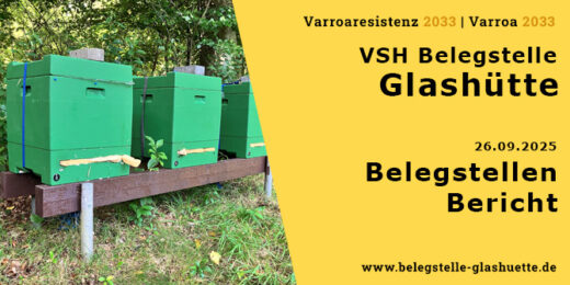 Belegstellenbericht 2025