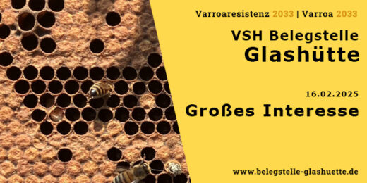 Großes Interesse an Varroaresistenz