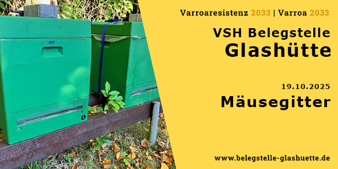 Mäusegitter an den Bienenvölkern