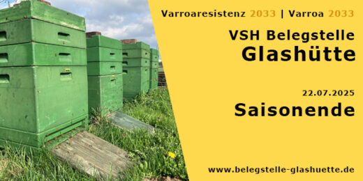 Ende der Zuchtsaison 2025 auf der VSH Belegstelle Glashütte