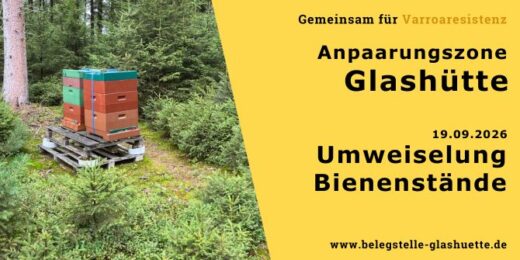 Umweiselung Imker