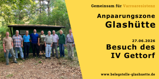 Imkerverein Gettorf auf der Belegstelle Glashütte