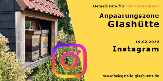 Bienenzuchtverein auf Instagram