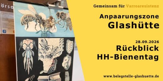 Rückblick Hamburger Bienentag