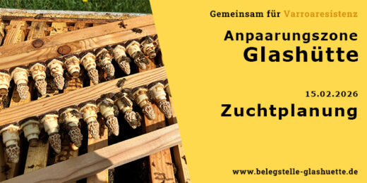 Belegstelle Zuchtplanung 2026