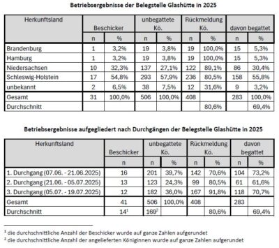 Belegstellenbericht 2025