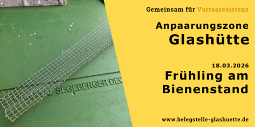 Frühling am Bienenstand