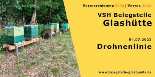 Drohnenlinie B76