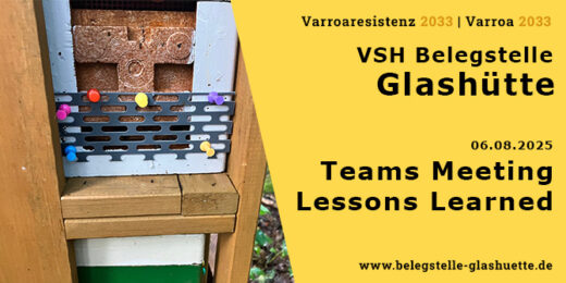 Lessons Learned Belegstelle